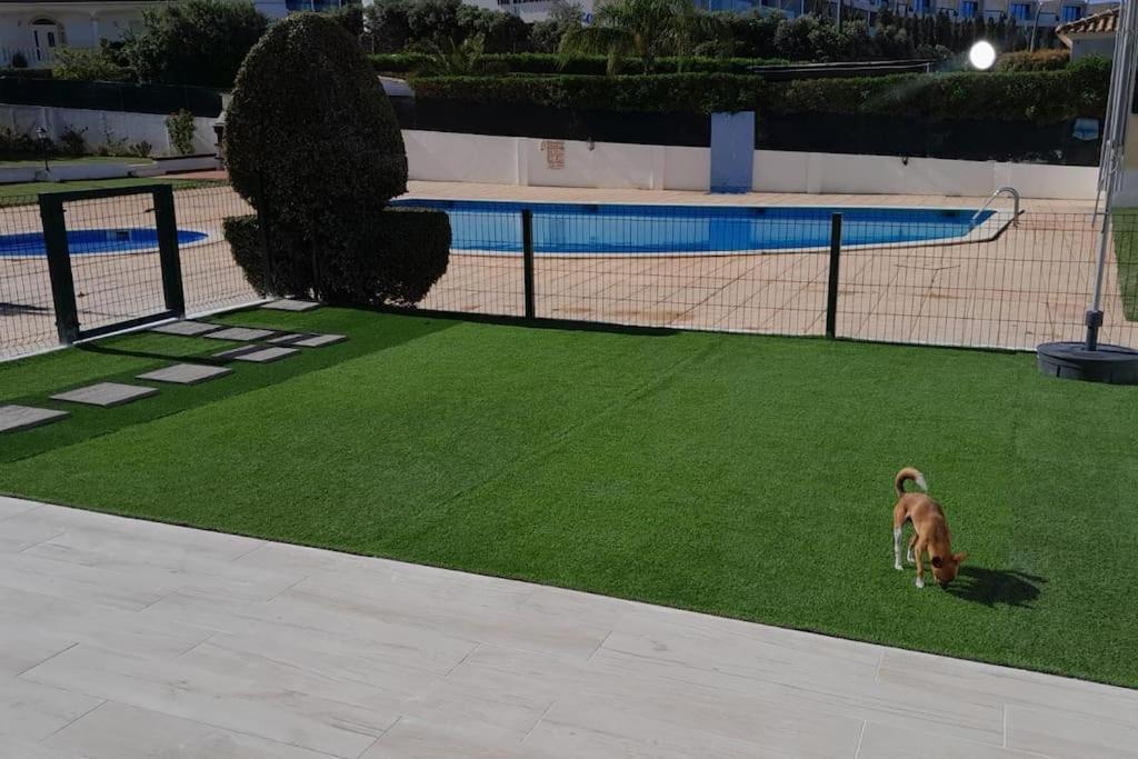 Вилла Gale Premium House - Pet Friendly Албуфейра Экстерьер фото
