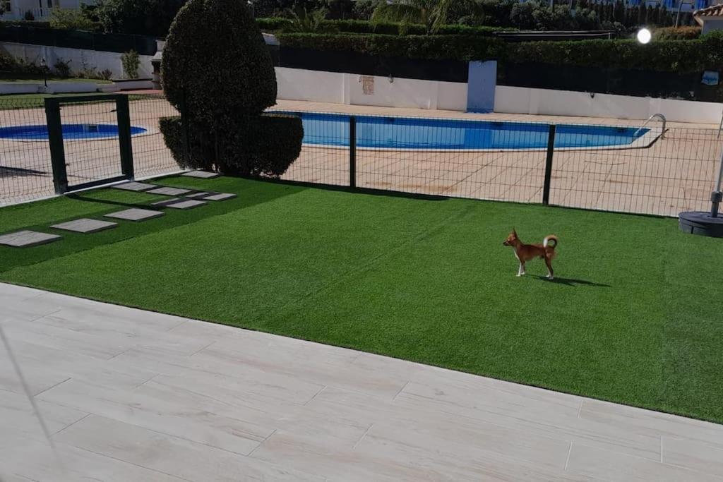 Вилла Gale Premium House - Pet Friendly Албуфейра Экстерьер фото